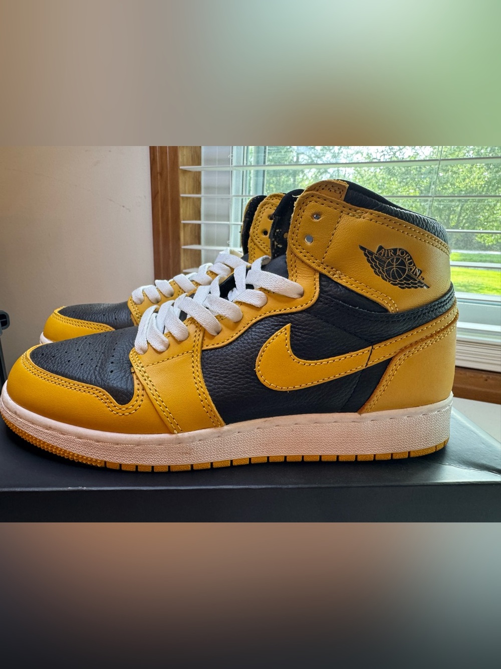 Jordan 1 Retro High OG Pollen (GS)